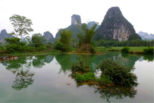 德天瀑布 明仕田园 一个人的旅行