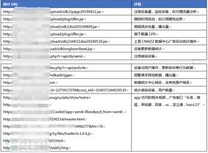 流量e魔病毒分析报告