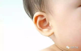 四个月宝宝耳朵失聪 因为妈妈孕期服用感冒药 