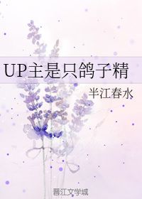 UP主是只鸽子精