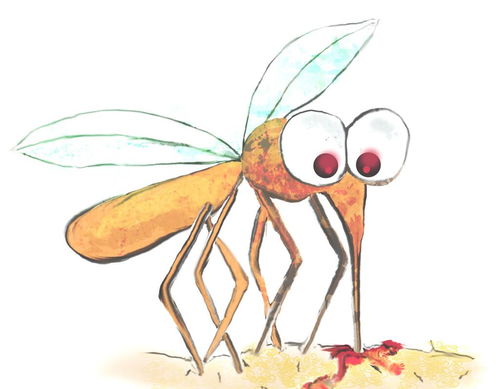 蚊子发出嗡嗡声代表什么 同为一种生物,为何雌性蚊子偏爱血液