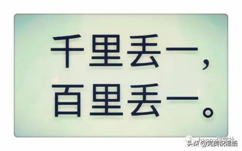 猜字谜 一只狗,四个口