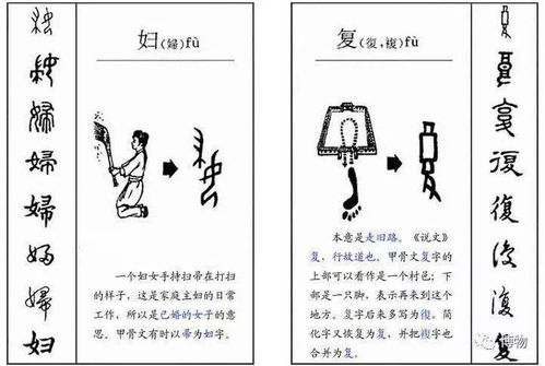 博物 简体字繁体字,到底谁更好