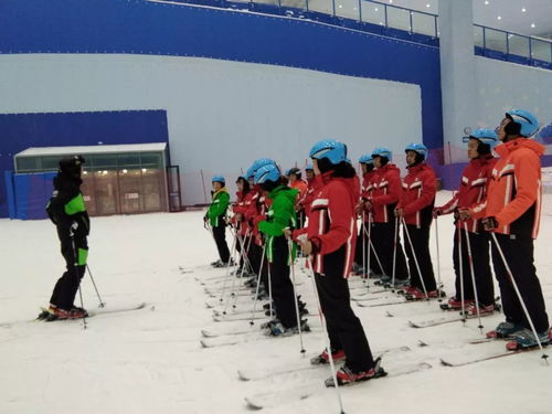 国内最专业的滑雪学校