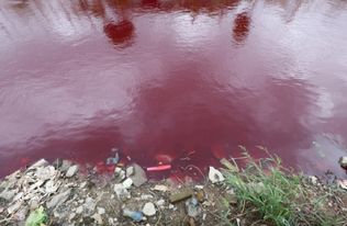 温州苍南怪事 惊现长达两三百米的血河 