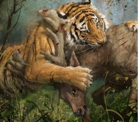 世界上最大的老虎有多大 单普通站立,就已是人类好几倍 