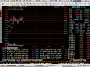 大盘的市盈率什么软件能看到？如上证 或沪深300指数谢谢