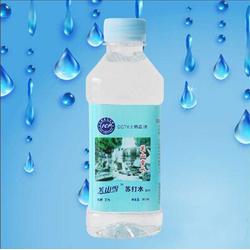 著名苏打水品牌 甜太阳绿色饮品 在线咨询 苏打水 