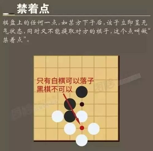 九张图告诉你如何下围棋