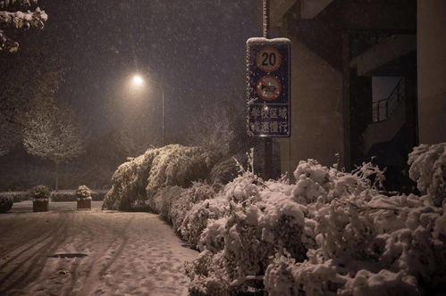 赛博初雪怎么弄(赛博涌现)