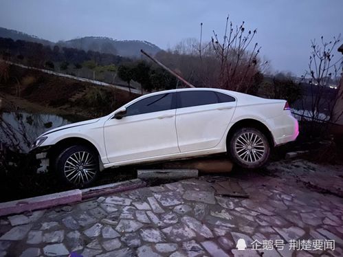 上海特斯拉充电攻略？(上海买新能源车一共多少费用？)
