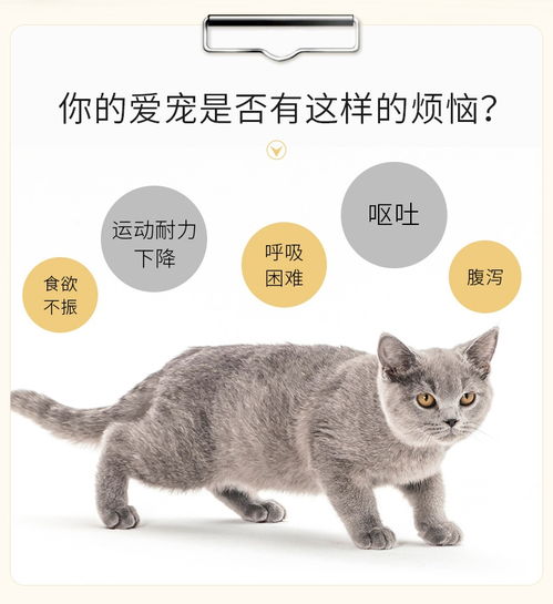 金盾药业 犬猫体内驱虫 口服驱虫药 适用于小型犬猫 8片 盒