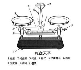 使用托盘天平的注意事项是什么