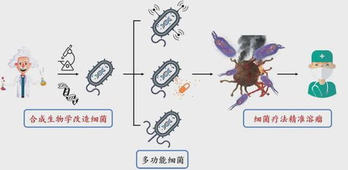 以毒攻毒 细菌版 隐秘而伟大