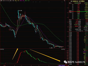 股票公司分析，最主要看公司那几个方面？