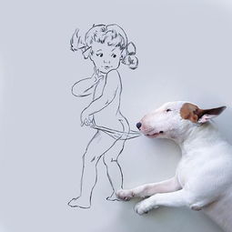 宠物狗与白墙涂鸦 巴西离婚大叔神创作爆红 组图 