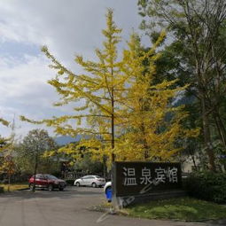 大邑天府花溪谷攻略,天府花溪谷门票 游玩攻略 地址 图片 门票价格 