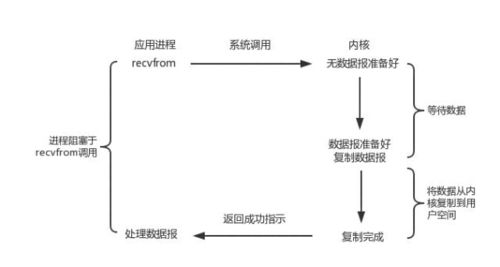 中文查重系统原理详解：让你更懂查重