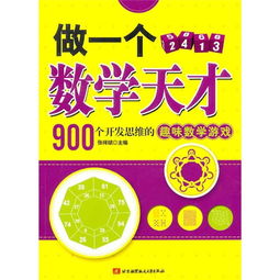 做一个数学天才 900个开发思维的趣味数学游戏