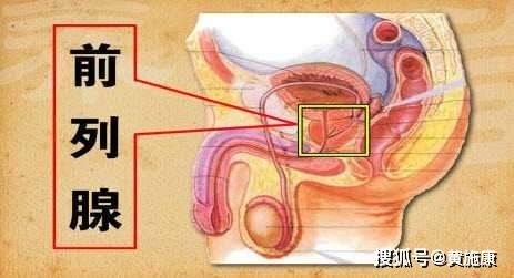 男人,你怕啥 不就是前列腺,有啥呢 黄施康 直面面对,正确呵护没啥大不了 按摩 