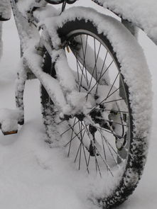 雪落无声，心有千千结，二年级写下雪的作文