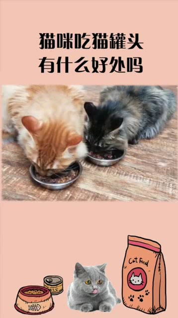 吃猫罐头有什么好处吗 