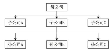 母公司股权不清晰影响子公司上市吗