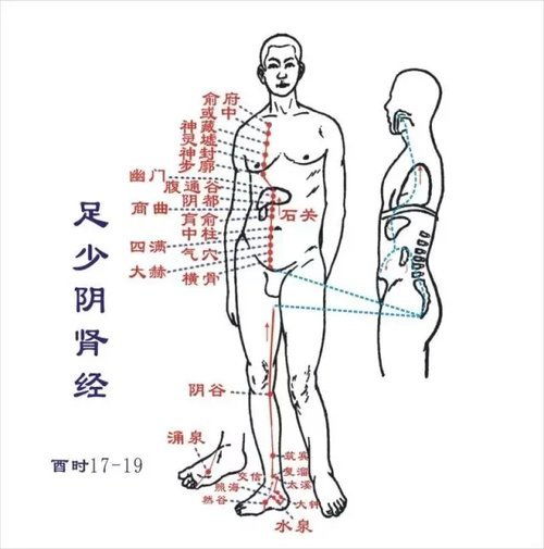 六经辩证顺序 太阳阳明少阳太阴少阴厥阴