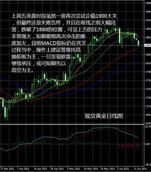 现货黄金操作