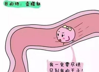 夫妻双方在备孕注意什么