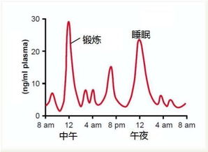 氮泵减脂有效果吗(减脂氮泵有什么作用)