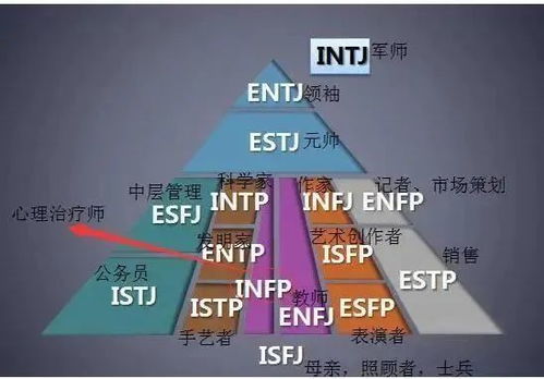 秒杀陶白白 风靡全网的 MBTI 成了 社交工具