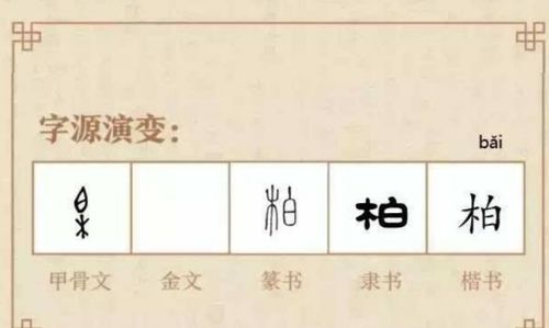 柏字在姓氏和地名中该怎么读 