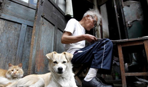 狗狗陪老人在广场锻炼,这可能就是养狗狗的老人更长寿的原因吧