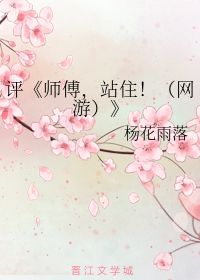 评 师傅,站住 网游 杨花雨落 第1章 16 55 54 