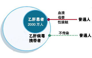 日本与韩国乙肝病毒携带者占人口比例分别是百分之几？中国是百分之十啊。