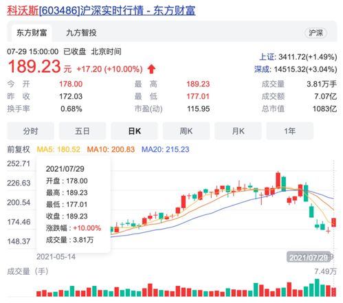 星空华文(06698)尾盘跌近25%