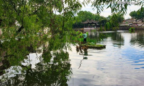 岑参的诗言短意长情感细腻,这首经典的七绝,道尽了人生的无奈