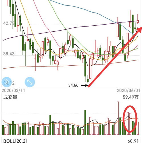 长阳普涨,明日继续上演逼空行情