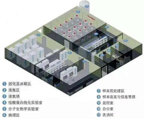 技术导航 生物样本库建设 疾病研究类样本库