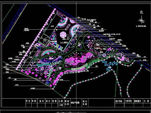 公园设计规划CAD图平面图下载 花坛树池图片大全 编号 17552058 