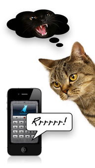 可以和猫说话的软件手机版 和猫说话的软件下载v1.1.0 安卓版 腾牛安卓网 