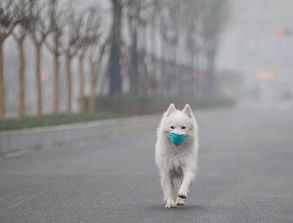 今日杭城空气重度污染 你需要靠这个防霾