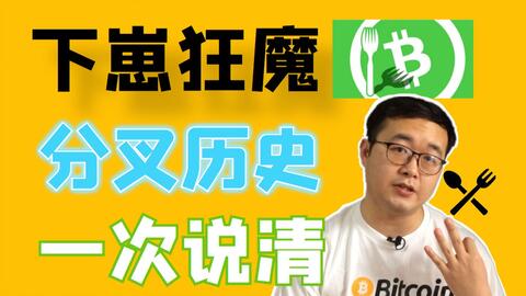 Bitcoin历史,bitcoin history