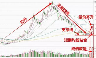 信维通信后市怎么样