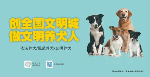 整治十二种不文明行为 让文明养犬有法可依丨萍乡两 条例 下月起施行