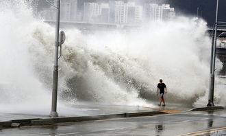 台风来袭海水漫堤 记者嘶吼式报道 台风卷起来的海水很快降下来咋就成淡水了呢？ 