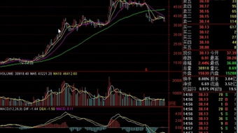 股票实时行情怎么分析？