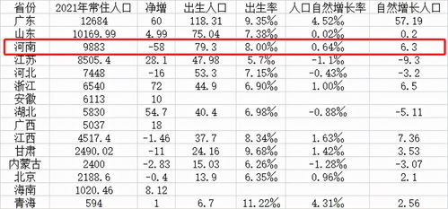 新闻频道 