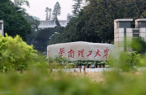 广东人眼中的华南理工大学,为什么广东考生最喜欢报考华南理工大学？(图2)